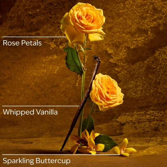 Bath & Body Works Disney Princess Belle 3 Wick Candle - Picture 3 of 5